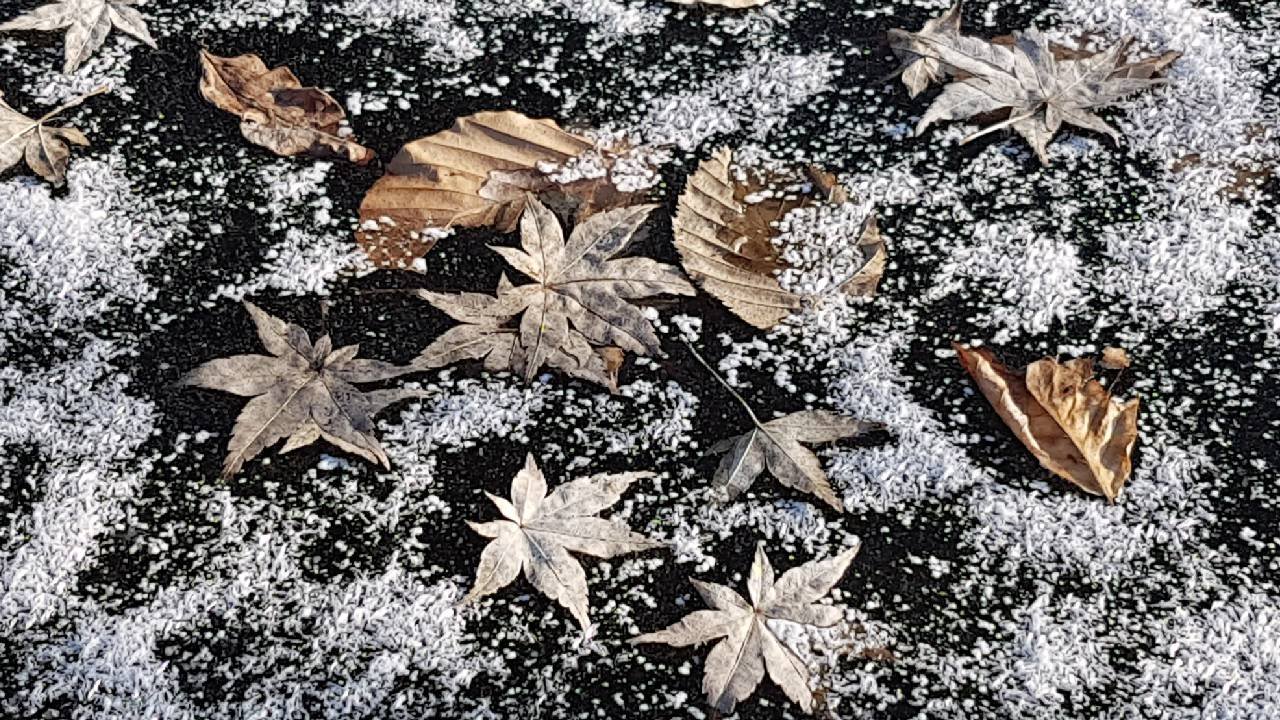 Nos bassins en hivers