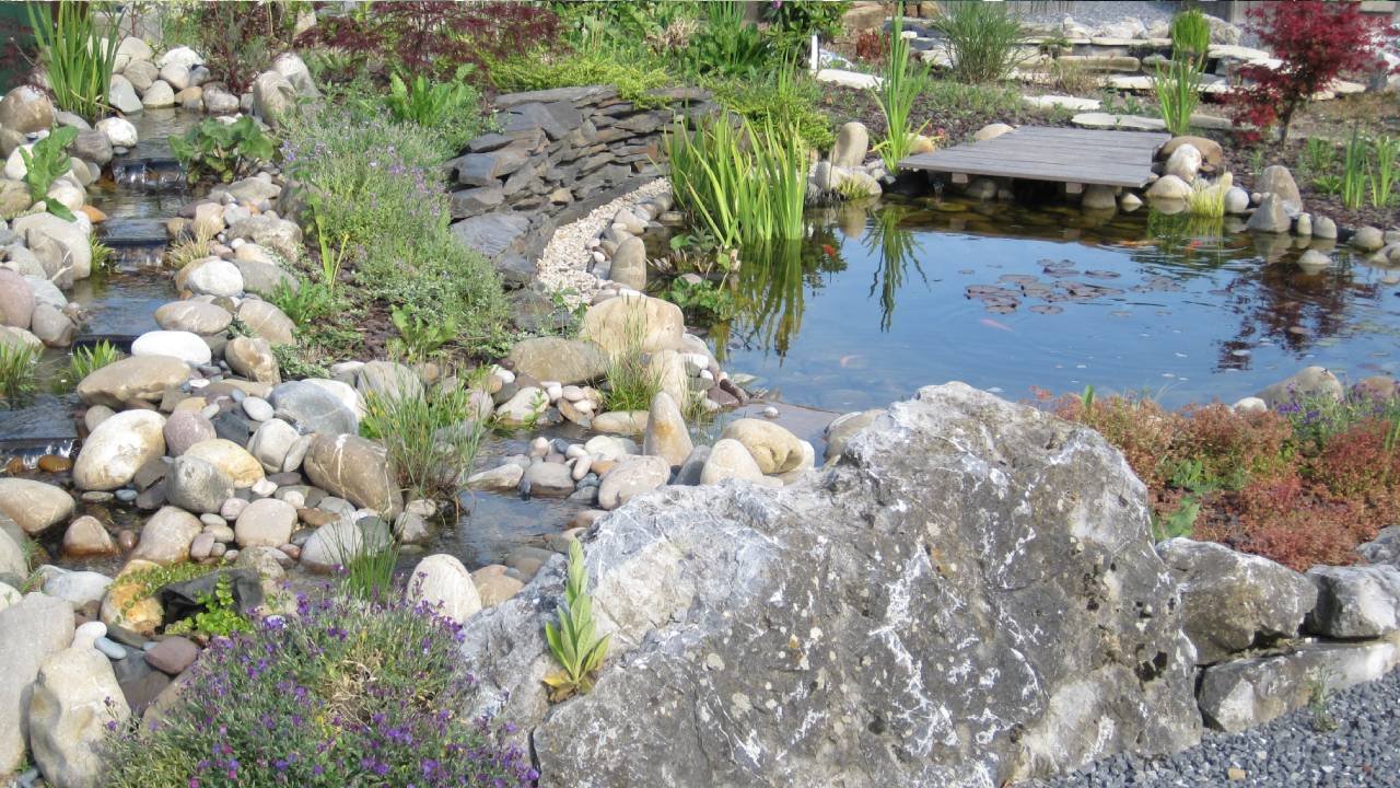 Nos bassin en été